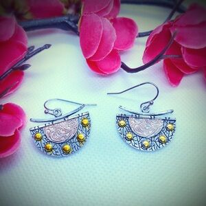 Stunning Silver Dangle Earrings